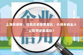 上海市侦探：出轨后的爱情危机：小说中的主人公如何逆袭成功？