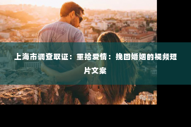 上海市调查取证：重拾爱情：挽回婚姻的视频短片文案