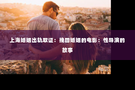 上海婚姻出轨取证：挽回婚姻的电影：性导演的故事