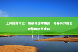 上海婚姻取证：情感挽回术视频：揭秘高效挽回爱情的秘密武器