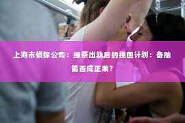 上海市侦探公司：绿茶出轨后的挽回计划：备胎能否成正果？