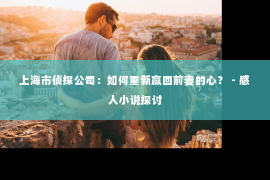 上海市侦探公司：如何重新赢回前妻的心？ - 感人小说探讨