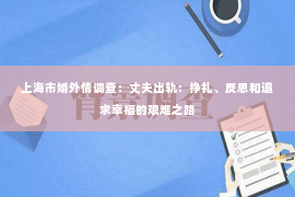 上海市婚外情调查：丈夫出轨：挣扎、反思和追求幸福的艰难之路