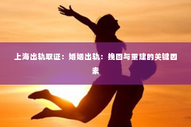 上海出轨取证：婚姻出轨：挽回与重建的关键因素