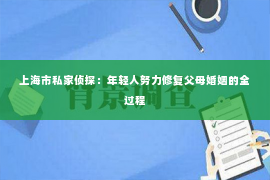 上海市私家侦探：年轻人努力修复父母婚姻的全过程