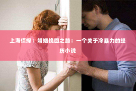 上海侦探：婚姻挽回之路：一个关于冷暴力的经历小说