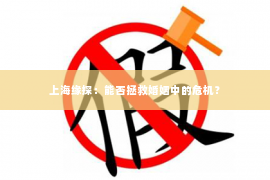 上海缘探：能否拯救婚姻中的危机？