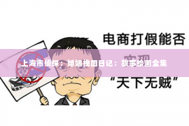 上海市侦探：婚姻挽回日记：故事绘画全集