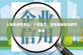 上海市调查取证：小说全文：挽回婚姻脱轨的可能性