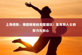 上海侦探：挽回婚姻的关键建议：生肖狗人士的努力与耐心