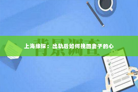 上海缘探：出轨后如何挽回妻子的心