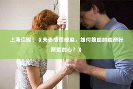 上海侦探：《夫妻感情破裂，如何挽回那颗渐行渐远的心？》