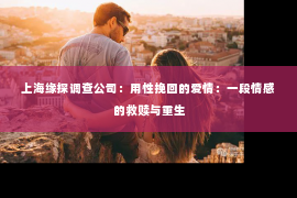 上海缘探调查公司：用性挽回的爱情：一段情感的救赎与重生