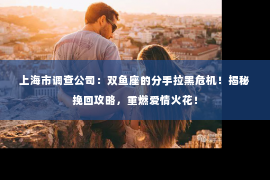 上海市调查公司：双鱼座的分手拉黑危机！揭秘挽回攻略，重燃爱情火花！