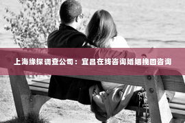 上海缘探调查公司：宜昌在线咨询婚姻挽回咨询