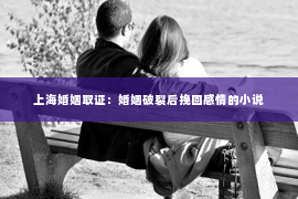 上海婚姻取证：婚姻破裂后挽回感情的小说